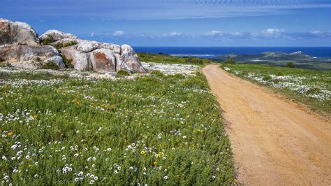 West Coast National Park Western Cape Province South