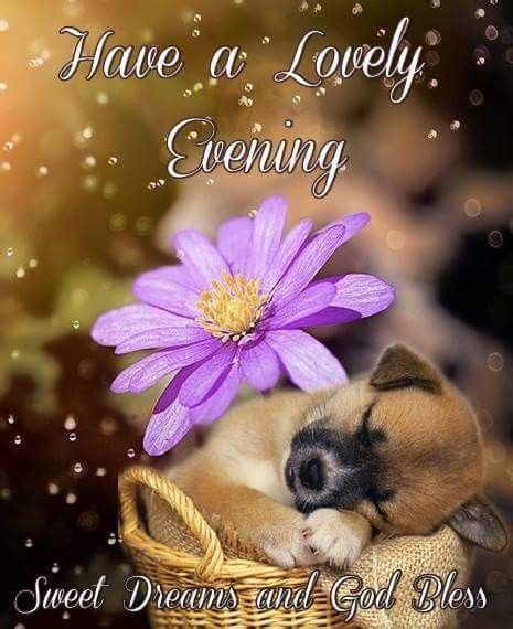 Have A Lovely Evening Good Evening Messages Good Night Greetings