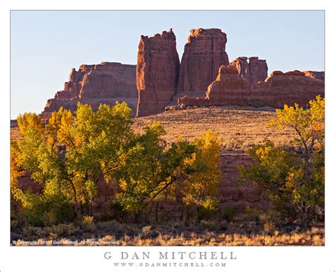 Cottonwood Trees And Sandstone Towers Morning G Dan Mitchell Photography