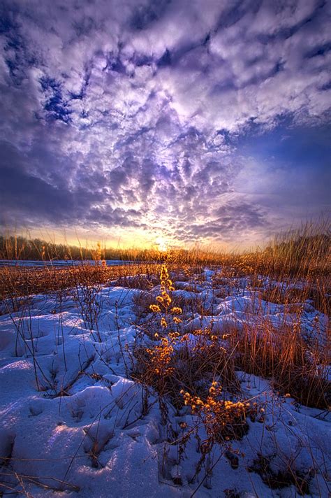 Wisconsin Horizons By Phil Koch Lives In Milwaukee