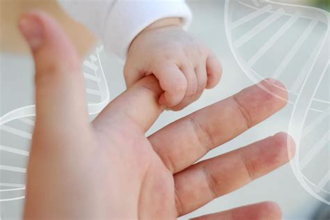 prueba de paternidad precio y requisitos test de adn