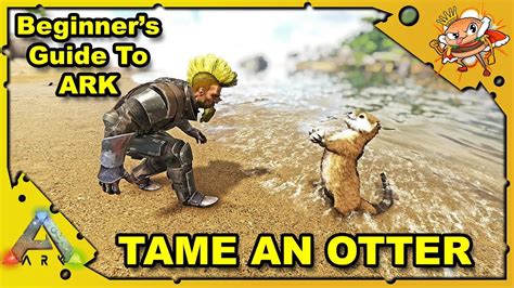 How To Get Started In Ark A Beginners Guide How To Tame An Otter