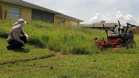 Mowing Extremely Overgrown Lawn Neighbors Show Support Satisfying