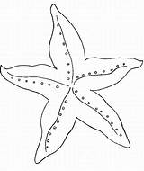 Coloring Sea Printable Star Starfish Visit Colouring sketch template