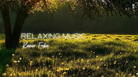 Relaxing Music To Relieve Stress Anxiety And Depressive States • Heals The Mind Healing Music