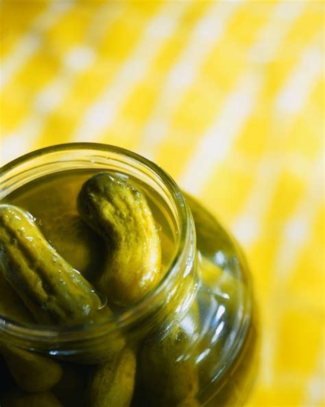 Pickling And Preserving For Dummies How To Preserve Cucumbers Like A Pro Making Dill Pickles