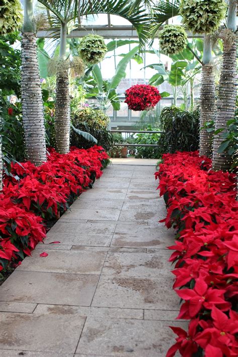 Romancing The Home Chicago Botanic Gardens Winter Wonderland