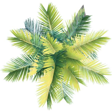 The perfect visit for a curious architecture student ... Free coconut tree transparent png images.