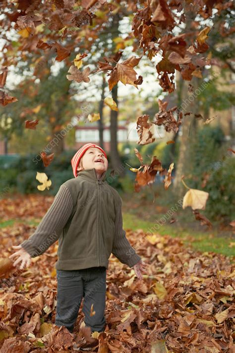 Boy Playing In Autumn Leaves Stock Image F0051884 Science Photo