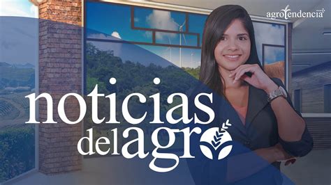 Noticias Del Agro Agrotendencia Tv Youtube