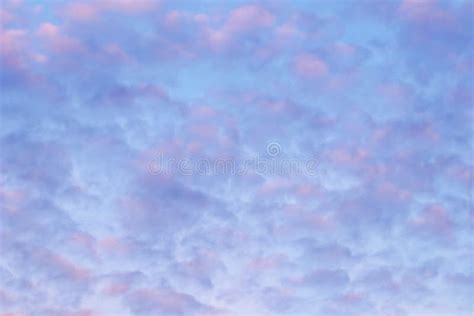 Background Of Blue Sky With Pink Clouds In Sunset Stock Image Image
