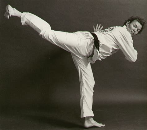 Martial Arts Revolution The Different Taekwondo Kicks