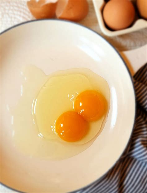 All About Double Yolk Chicken Eggs Fresh Eggs Daily With Lisa Steele