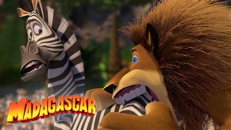 Alex Is One Hungry Lion Dreamworks Madagascar Mini Moments Youtube