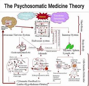 What Is Psychosomatic Medicine Blog Mejobs Eu