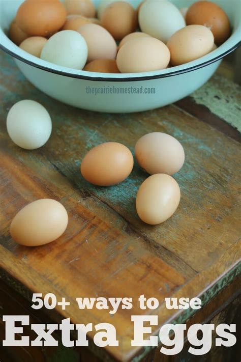 Egg recipes you will lovetired of boring sandwiches for breakfast? 50+ Ways to Use Extra Eggs | Food, Real food recipes, Food ...