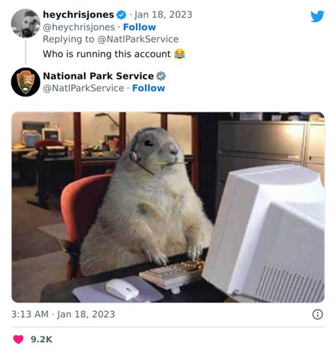 20 Hilarious Tweets From The Viral National Park Service Twitter