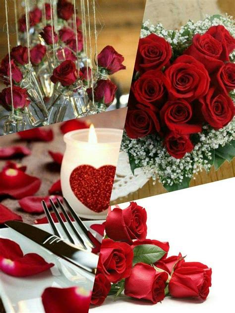 Foto utili per conoscere e imparare tutti i fiori primaverili più belli e importanti. Oggi 14 febbraio San Valentino... non poteva mancare un ...