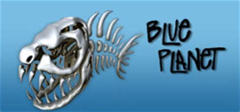Free Paddle Deal at Blue Planet Surf at Stand Up Paddle Surfing in