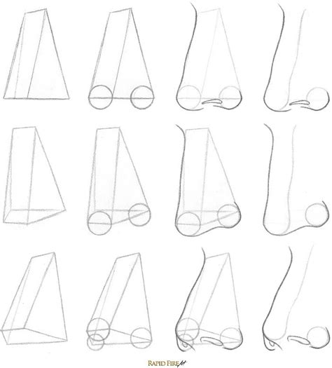 7 Steps To Draw Noses From The 34 View Rapidfireart Manga Drawing