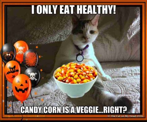 Collection Of Candy Corn Memes 2023 Guide For Geek Moms