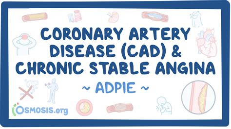 Coronary Artery Disease CAD And Angina Pectoris Nursing Process