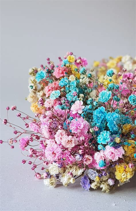 Maybe you would like to learn more about one of these? Multicolored mix of Gypsophila little flowers, Dried Baby ...