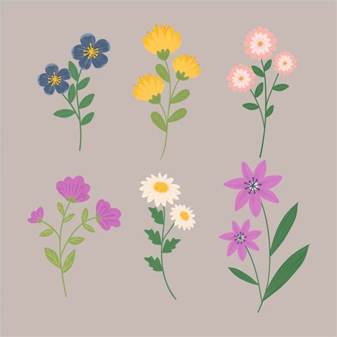 Free Vector Hand Drawn Flower Collection