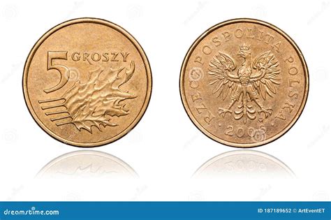 Coin 5 Pennies A Mirror Image Poland 2006 Stock Photo Image Of