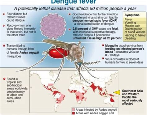 With malaysia's first severe dengue outbreak recorded in penang in 1962 (61 cases and 5 deaths reported) 6. Malaysia Faces Alarming Dengue Outbreak With 25 Deaths In ...
