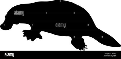 Platypus Silhouette Smooth And Clean Lines High Detailed Platypus