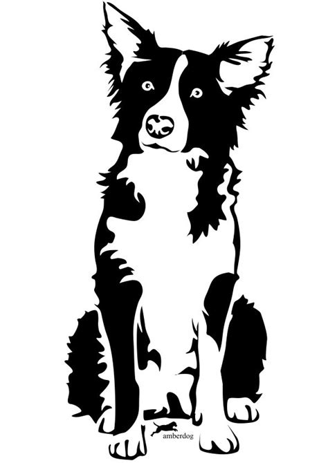 Pin Border Collie Tattoo Picture On Pinterest Dog Drawing Dog