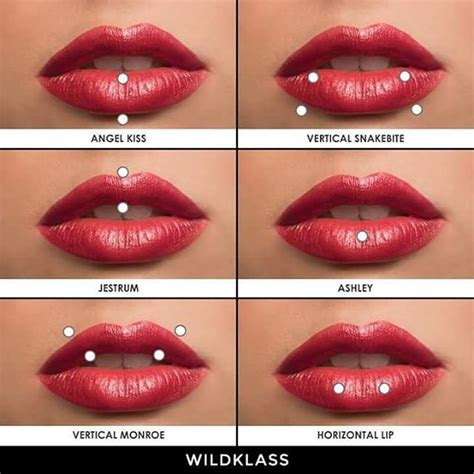 Lip Piercing Infographic Wildklass Infographic Lip Lippiercings