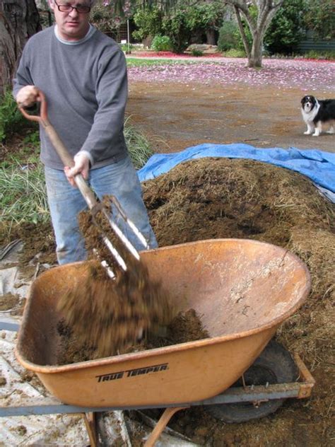 It's one of the components of adobe. Manure Compost as Passive Greenhouse Heating | Manure ...