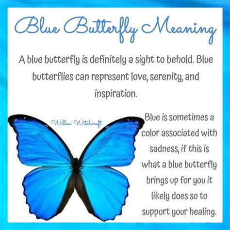 Blue Butterfly Meaning Butterfly Meaning Blue Butterfly Meaning