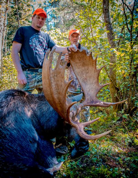 Guided Maine Moose Hunt Canoe The Wild