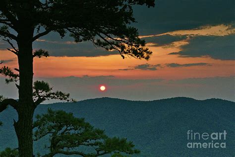 Pine Tree Sunset Photograph By Dale Kohler Fine Art America