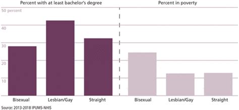 Socioeconomic Patterns Among Sexual Minorities Contexts
