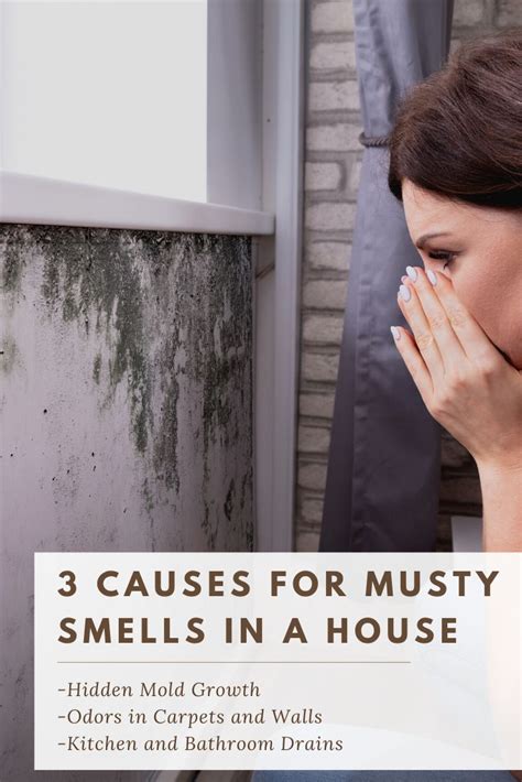 Check spelling or type a new query. Mildew vs Mold Smell Indoors | Mold smell, Mold exposure ...