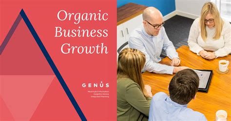 Understanding Organic Business Growth