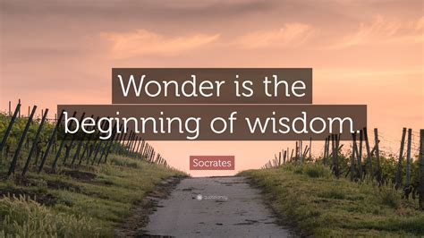 Socrates Quote “wonder Is The Beginning Of Wisdom”