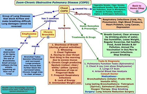 Asthma Concept Map