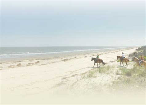 Beach Horseback Riding | Sea Island - Equestrian | Equestrian Vacations | Equestrian vacations ...