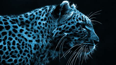 Blue Cheetah Wallpaper Wallpapersafari