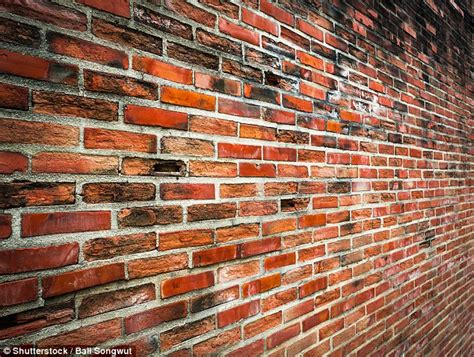 Members who buy doors, also buy: German man returns to Mainhausen home to find brick wall built in front of door | Daily Mail Online