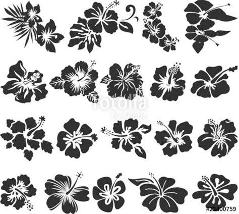 Get inspired for your next tattoo. "Hibiscus flower silhouettes" Stockfotos und lizenzfreie ...