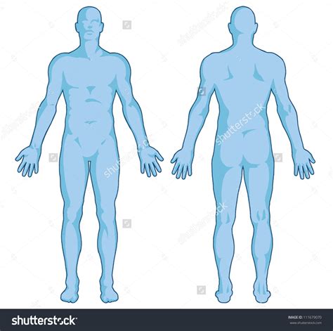 Human Body Outline Clipart Male Free Cliparts Download Images On Clipground