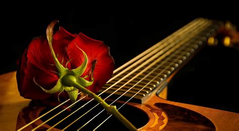 Fondos De Pantalla Guitarra Rojo Instrumento Musical Flores Rojas