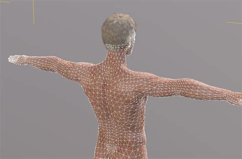 Naked Man Rigged 3d Game Character 3d Model 8 Blend C4d Fbx Obj Free3d