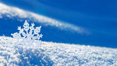 Snow Flake Background 54 Images